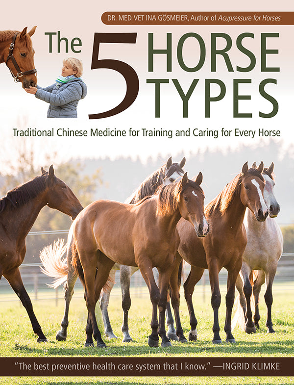 5 Horse Types - Traditional Chinese Medicine for Training and Caring for Every Horse