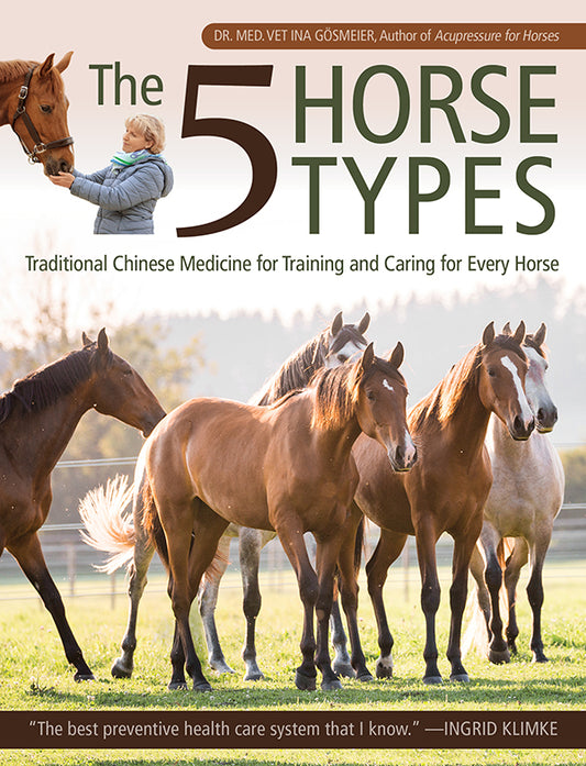 5 Horse Types  - Traditional Chinese Medicine for Training and Caring for Every Horse