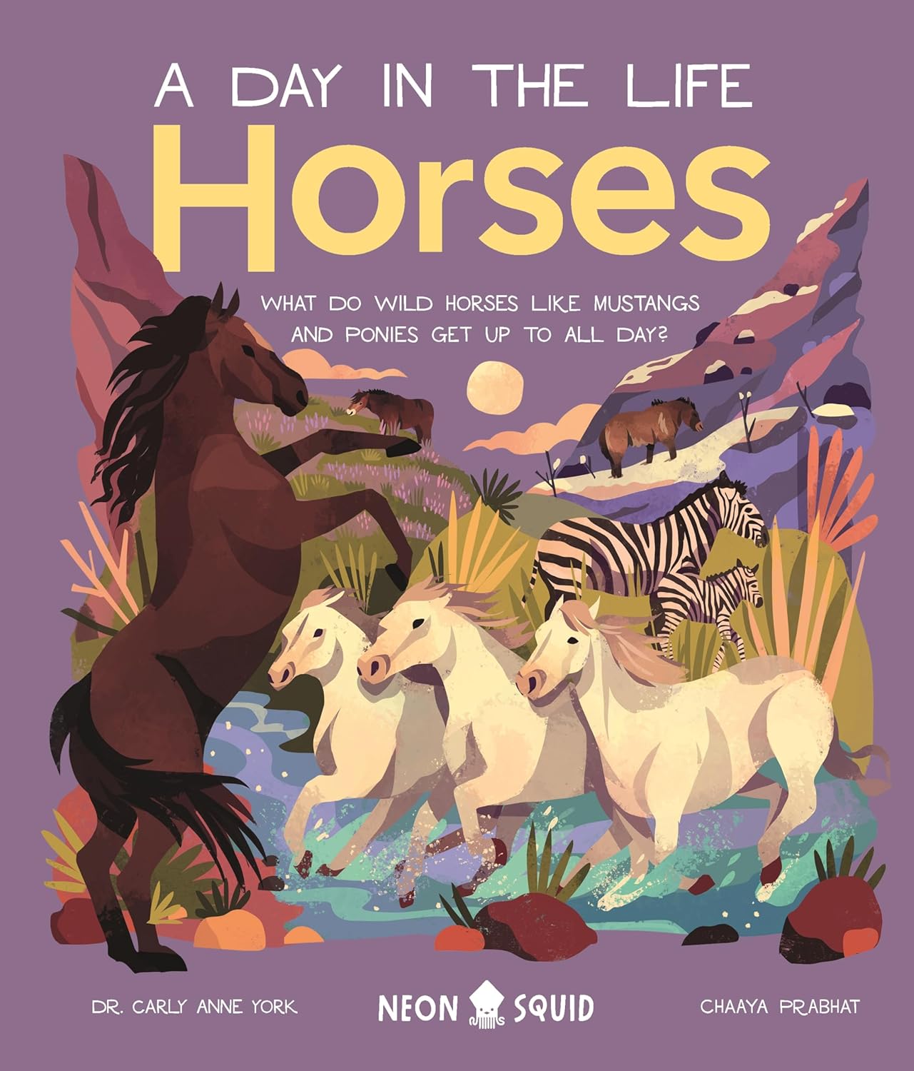 Horses (A Day in the Life)