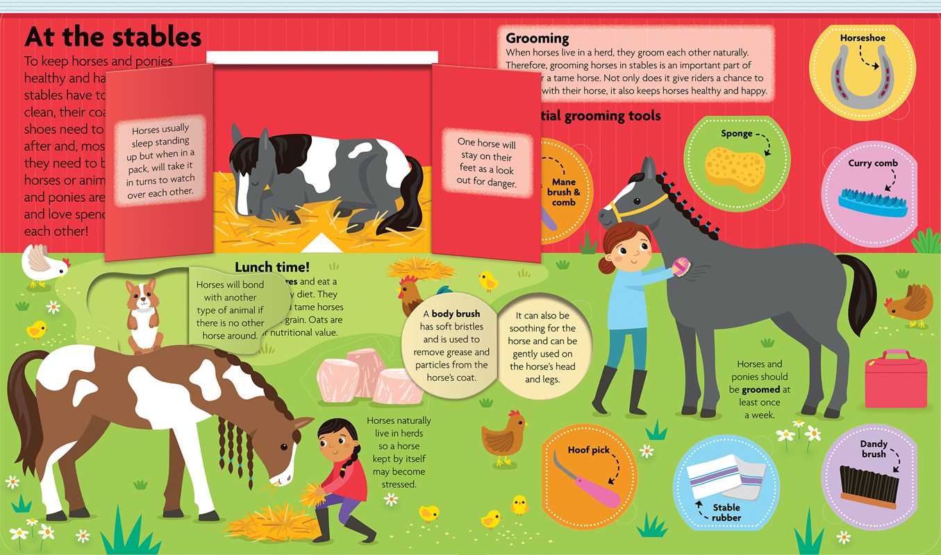 All About Horses & Ponies: Lift-The-Flap Book