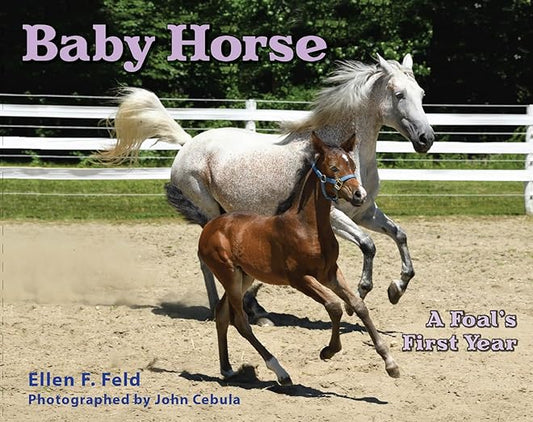 Baby Horse: A Foal's First Year