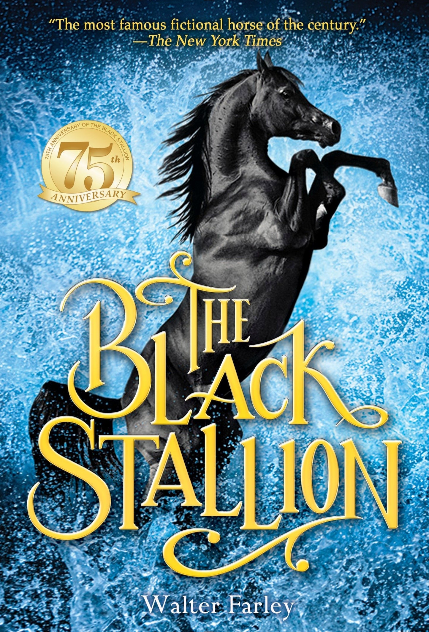 The Black Stallion Adventures! (Boxed Set)
