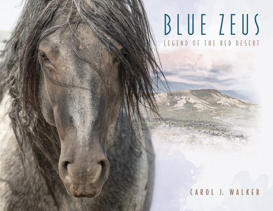 Blue Zeus: Legend of the Red Desert