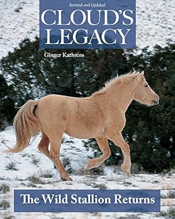 Cloud's Legacy: The Wild Stallion Returns