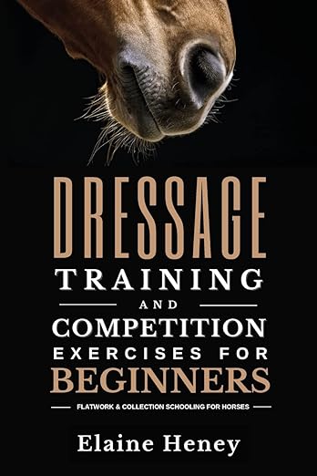 Dressage Training and Competition Exercises for Beginners
