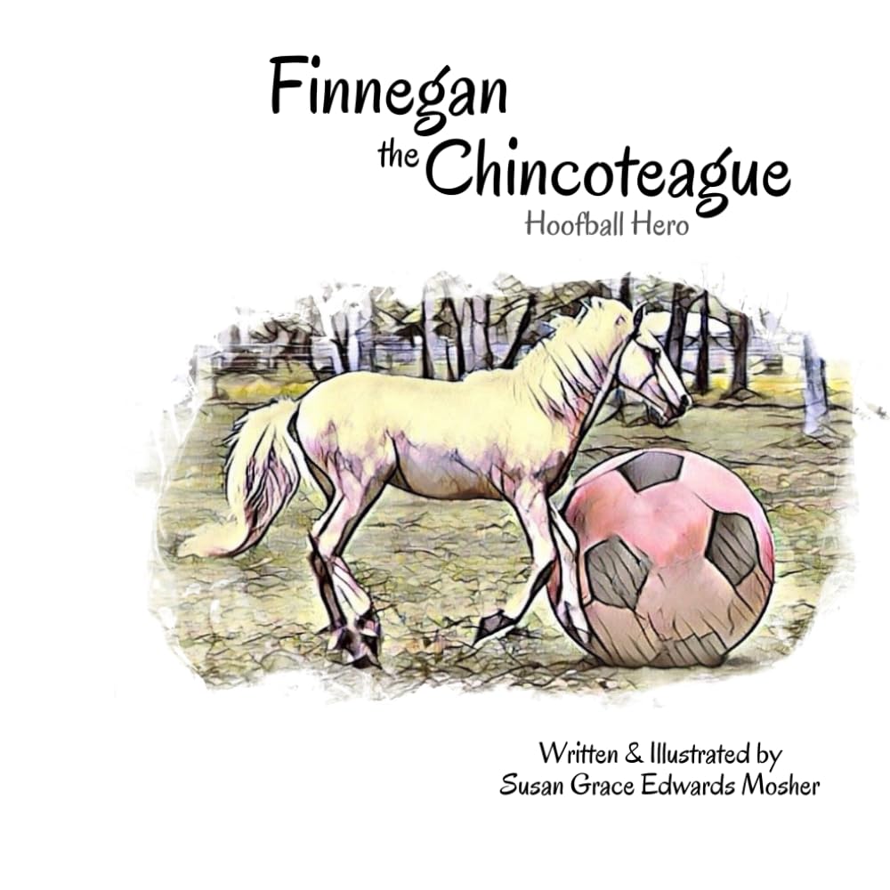 Finnegan the Chincoteague: Hoofball Hero
