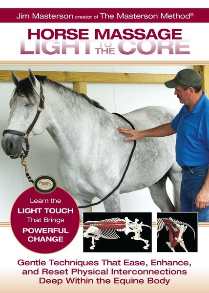 Horse Massage: Light to the Core - DVD