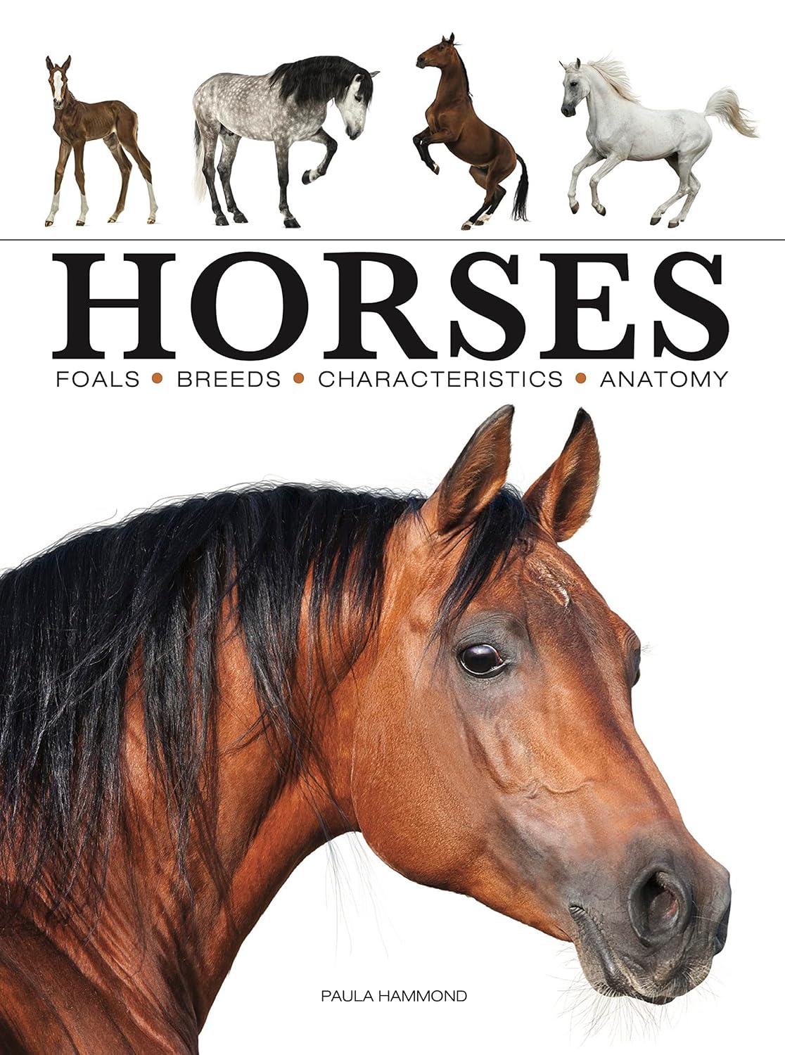 Horses: Stunning Photographs from the Equine World