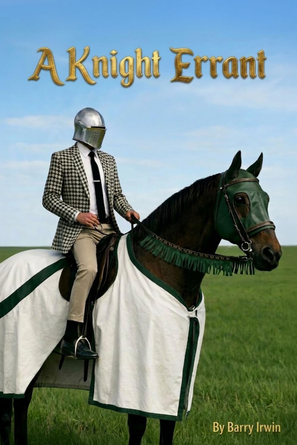 A Knight Errant