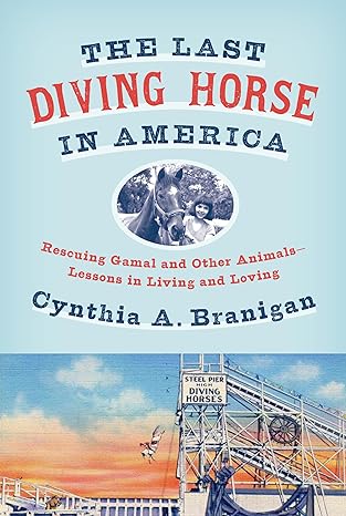 The Last Diving Horse in America: Rescuing Gamal and Other Animals