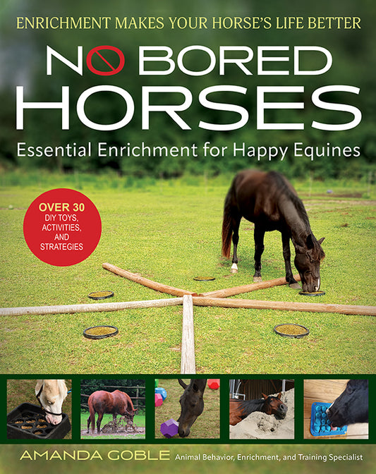 No Bored Horses - Essential Enrichment for Happy Equines