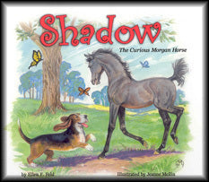 Shadow - The Curious Morgan
