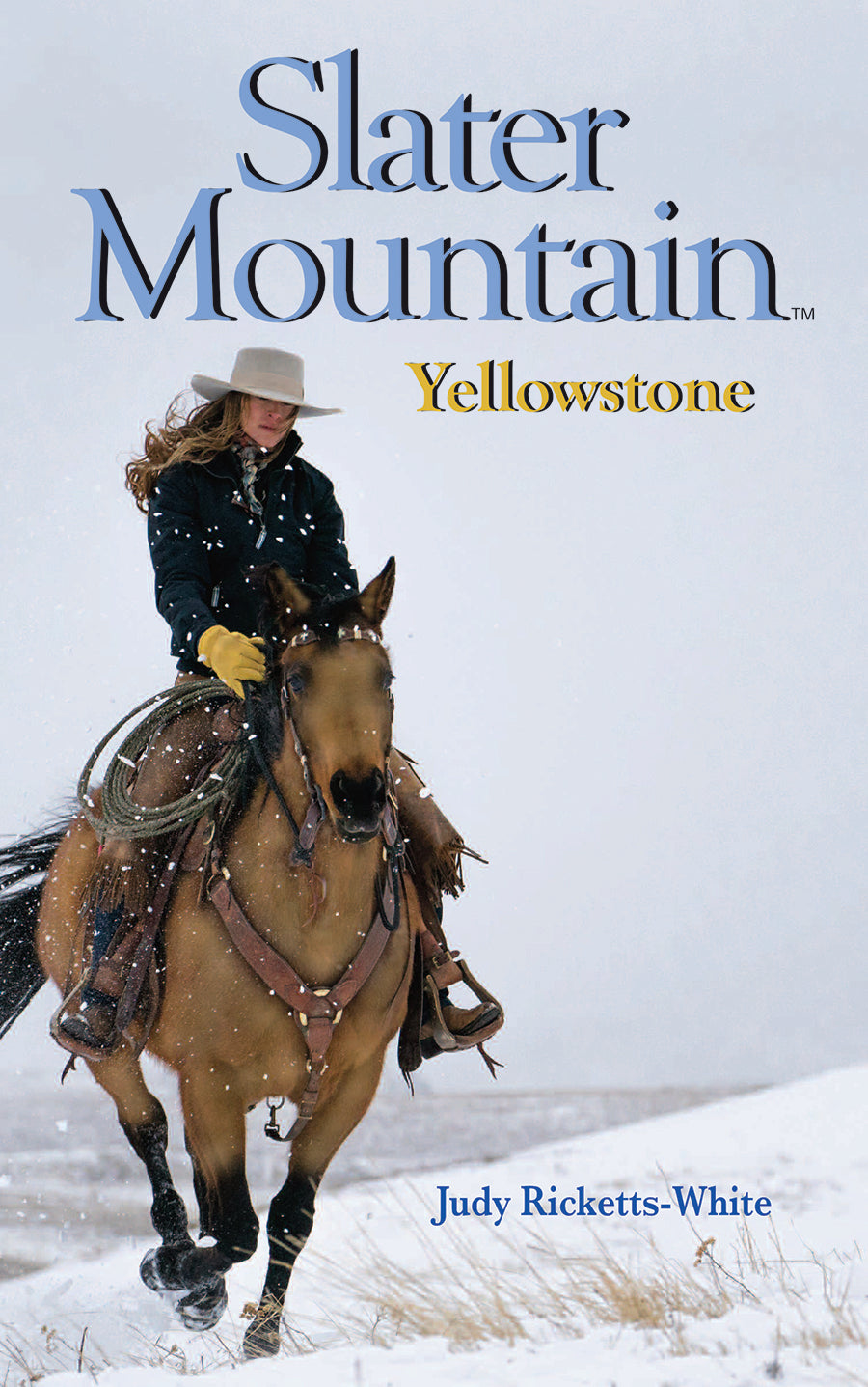 Slater Mountain: Yellowstone (Slater Mtn Series Book 3)