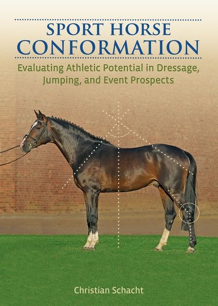 Sport Horse Conformation - Evaluating Athletic Potential in Dressage, Jumping and Event Prospects