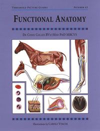Threshold Guide No. 43 - Functional Anatomy