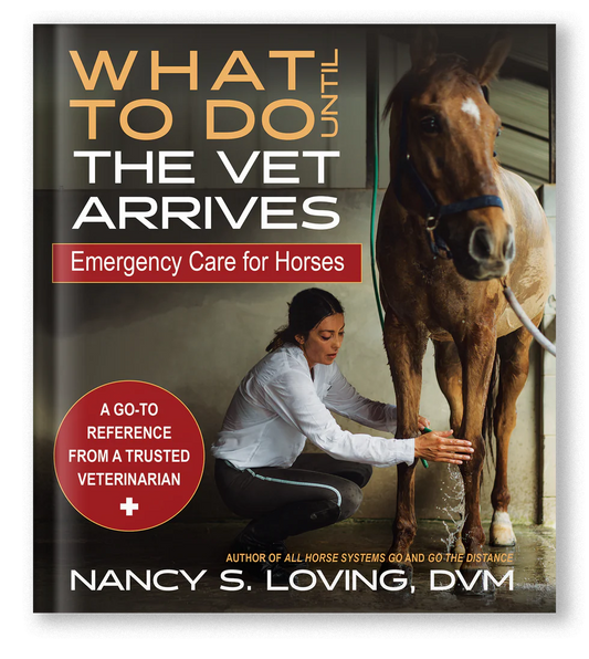 What to Do Until the Vet Arrives