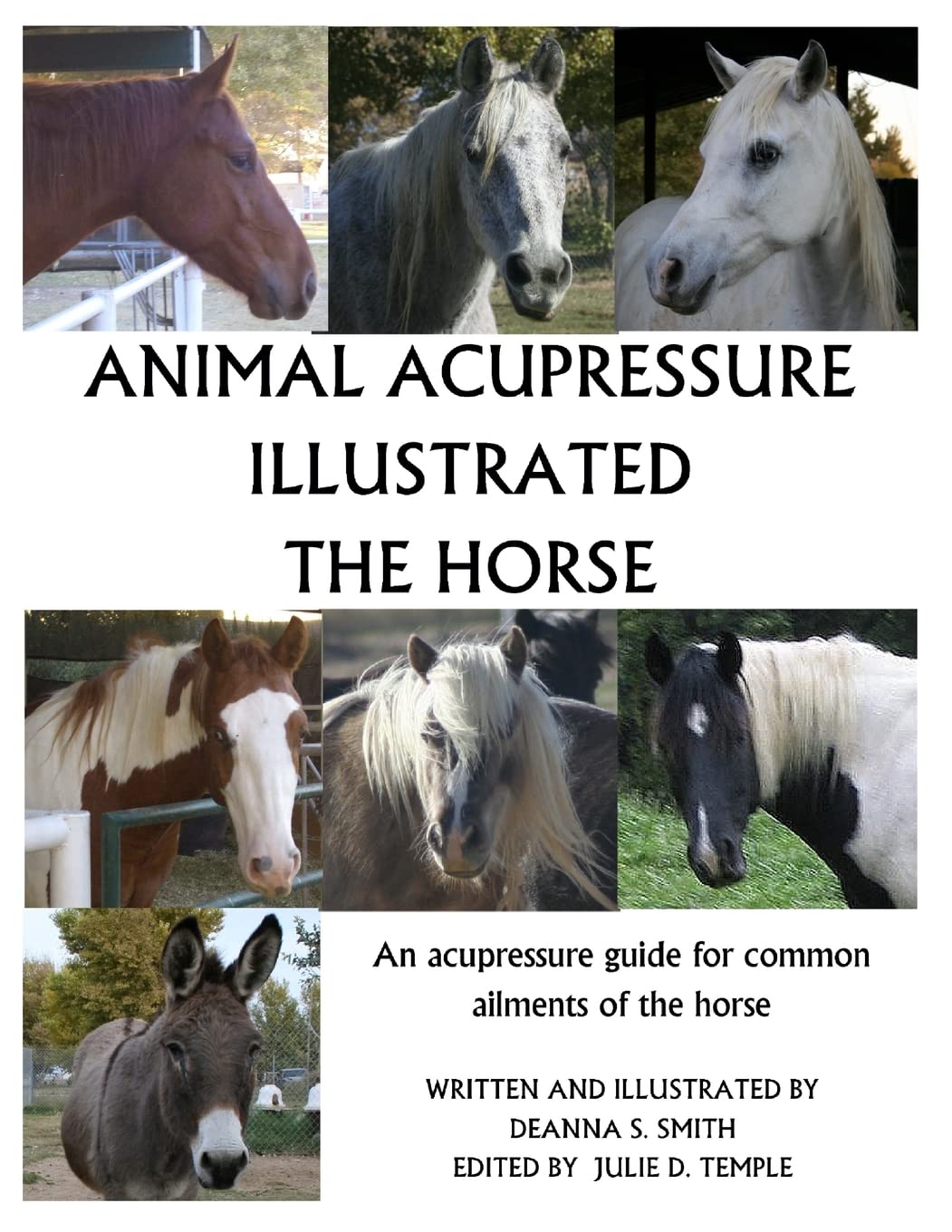 Animal Acupressure Illustrated - The Horse