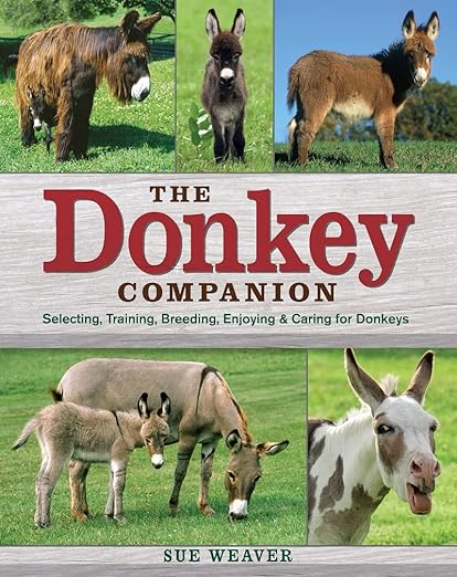 The Donkey Companion
