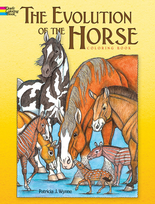 Evolution of the Horse Coloring Book