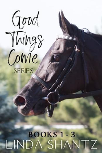 The Good Things Come Series: Books 1–3