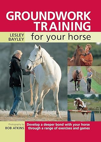 Groundwork Training for Your Horse