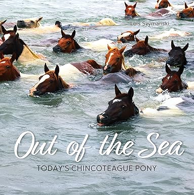 Out of the Sea: Today's Chincoteague Pony