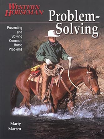 Problem Solving Volume 1