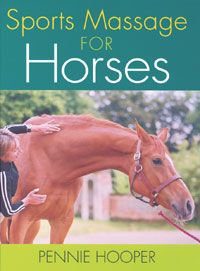 Sport Massage For Horses