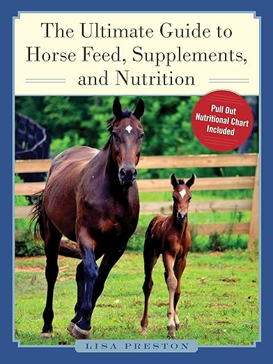Ultimate Guide To Horse Feed Supplements And Nutrition