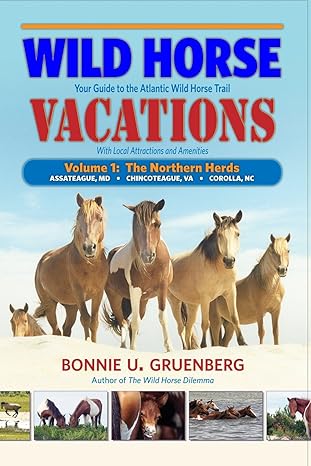 Wild Horse Vacations: Your Guide to the Atlantic Wild Horse Trail (With Local Attractions and Amenities)
