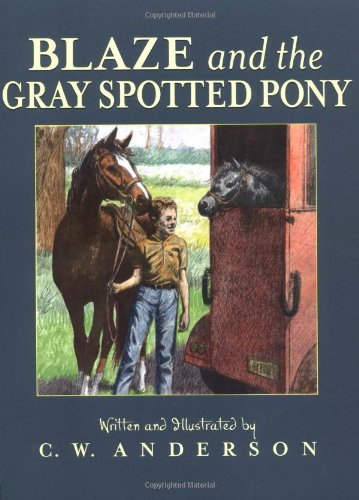 Blaze And Grey Spotted Pony