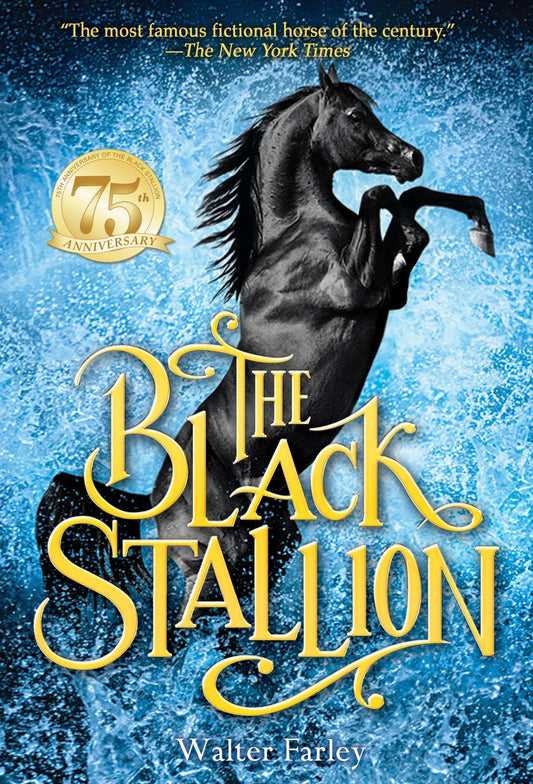 Black Stallion, The (Black Stallion Series Book #1)