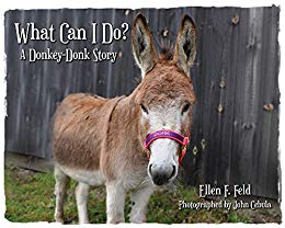 What Can I Do a Donkey-Donk Story