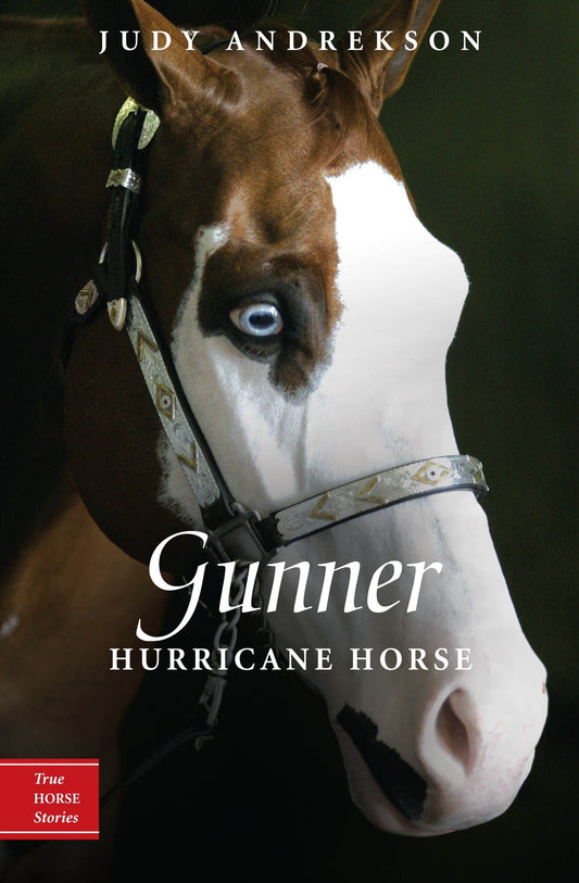 Gunner: Hurricane Horse (True Horse Stories Series)