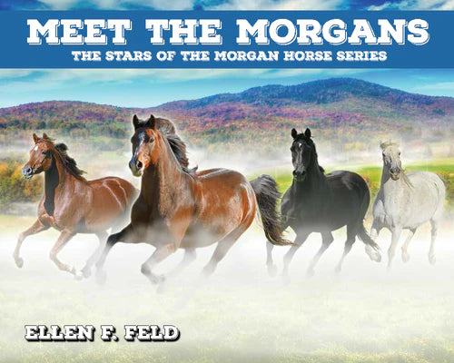 Meet The Morgans - The Stars of the Morgan Horse Series