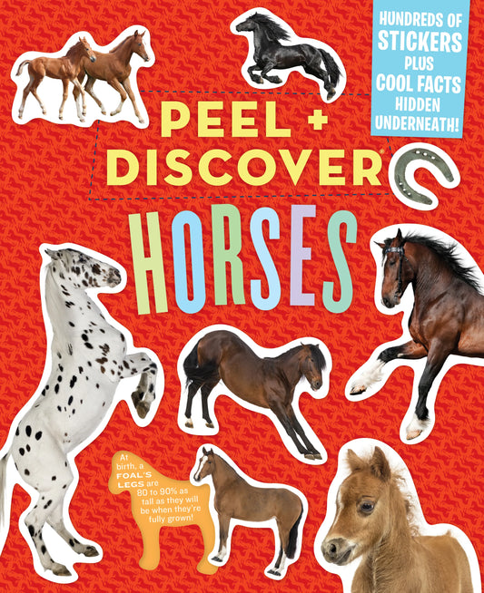 Peel And Discover Horses - Stickers