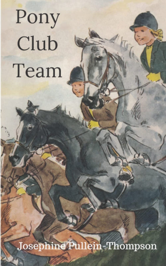 Pony Club Team (Noel & Henry Series - Book #2)