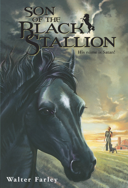 Son of the Black Stallion  (Black Stallion Series Book #3)