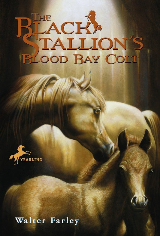 Black Stallion's Blood Bay Colt, The (Black Stallion Series Book #6)