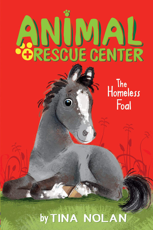 The Homeless Foal (Animal Rescue Center)