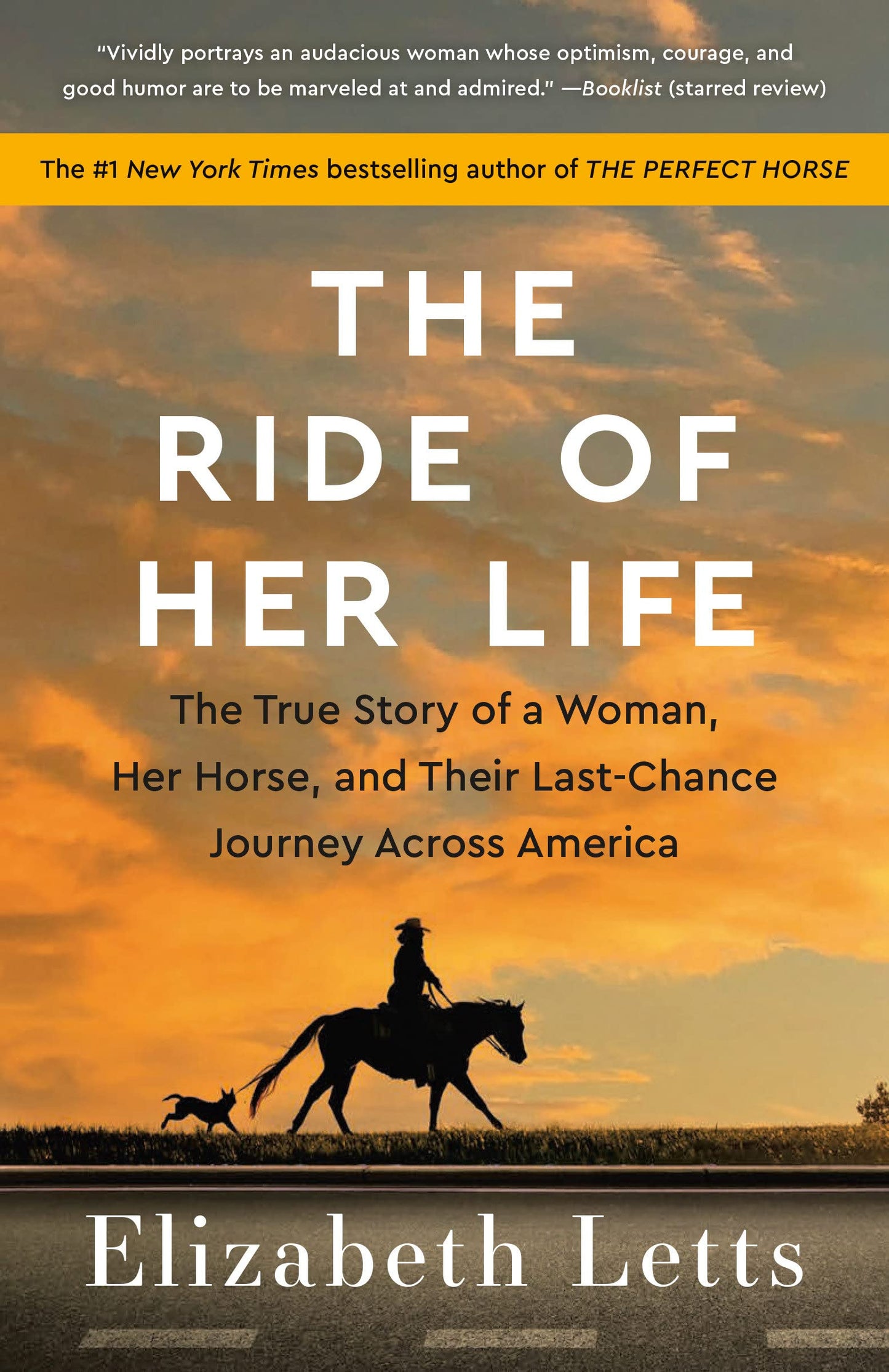 The Ride of Her Life - The True Story of a Woman, Her Horse, and Their Last-Chance Journey Across America
