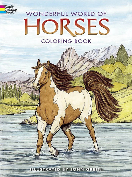 Wonderful World Of Horses Coloring Book