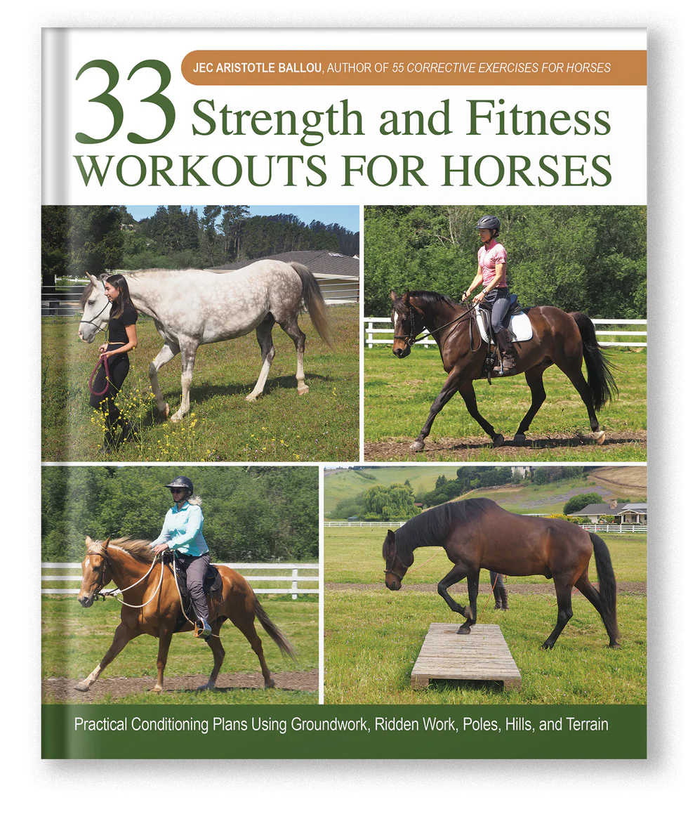 33 Strength and Fitness Workouts for Horses