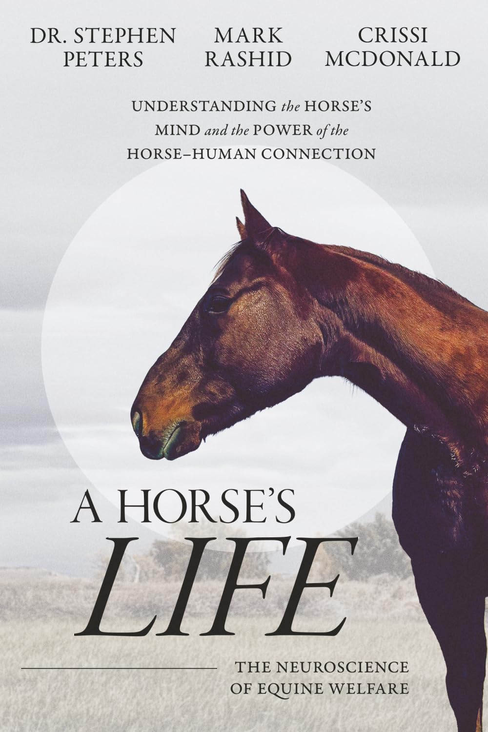 A Horse's Life: The Neuroscience of Equine Welfare