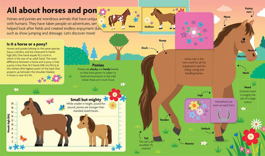 All About Horses & Ponies: Lift-The-Flap Book