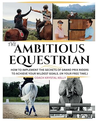 The Ambitious Equestrian