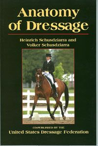 Anatomy Of Dressage