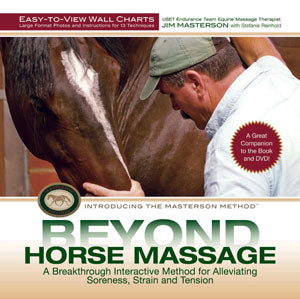 Beyond Massage Wall Chart