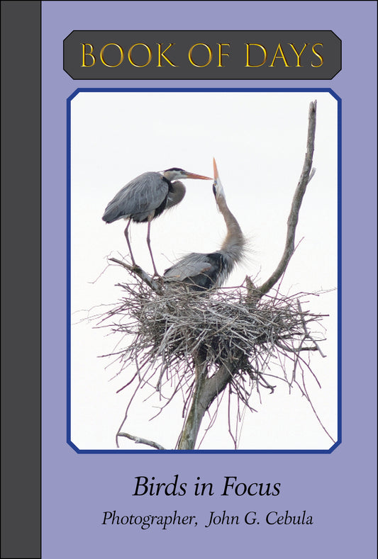 Book of Days - Birds in Focus
