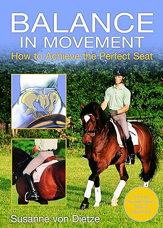 Balance in Movement: How to Achieve the Perfect Seat